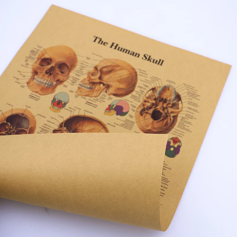 Каркас тела DLKKLB структура нервной системы плакат для бара домашний декор ретро