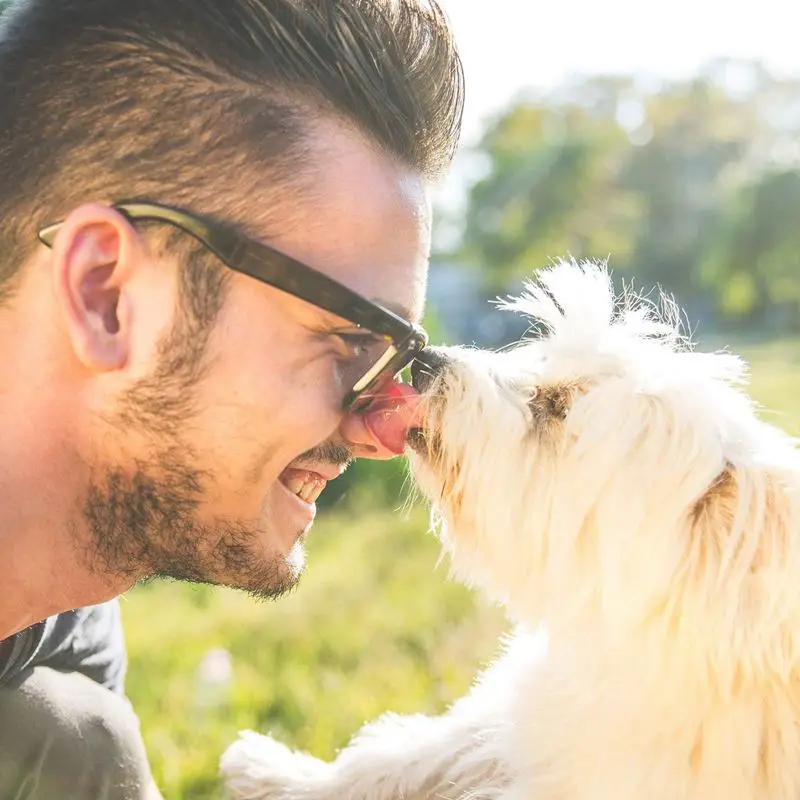 

10 Pieces Soft Silicone Pet Finger Toothbrush, Tooth Cleaner Dog Cat Teeth Cleaning