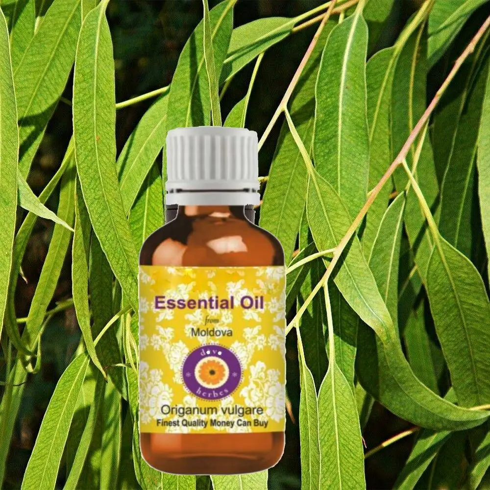 

100% Pure Organic Lemon Eucalyptus Essential Oil Essential Oils