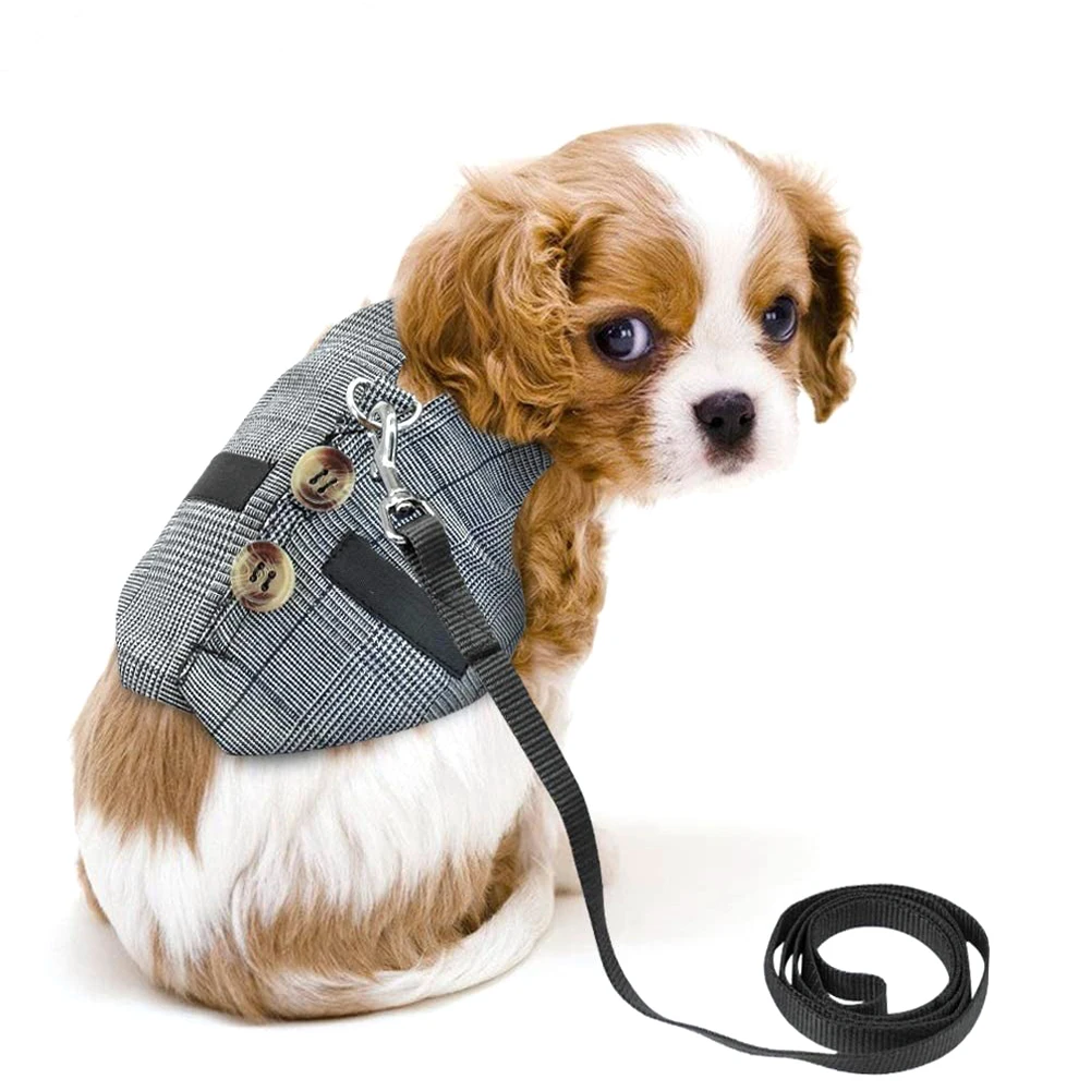

2021 New ArrivalsSmall Pet Rabbit Harness, Adjustable Breathable Rabbit Chest Strap Outdoor Pet Vest with Pulling Rope, S/M/L