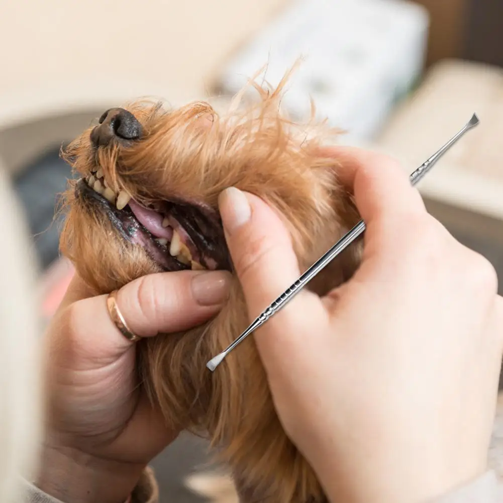 Скалер-скребок для зубов собаки из нержавеющей стали, улучшенный средство для удаления зубного налета у домашних животных с различными насадками для чистки зубов.