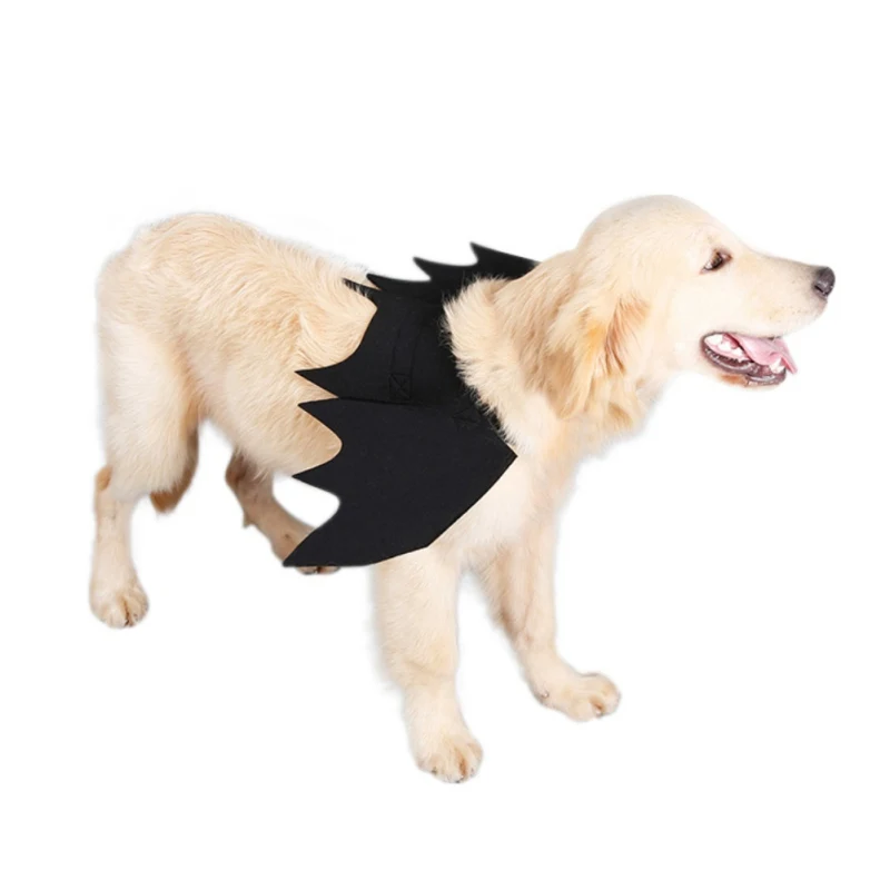 Забавные коты Косплей Костюм Хэллоуин крылья летучая мышь Кот Летучая костюм