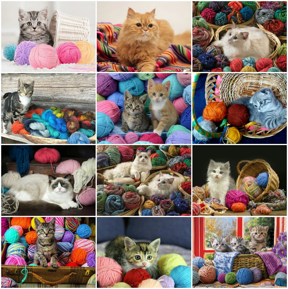 Алмазная 5D картина сделай сам полноразмерная/круглая вышивка с кошачьими