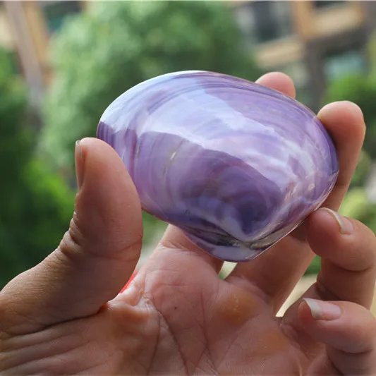 Aqumotic натуральный двойной раковины Purpura раскладушка Рыбы Аквариум ландшафтное украшение индонезийский Sanguinolaria