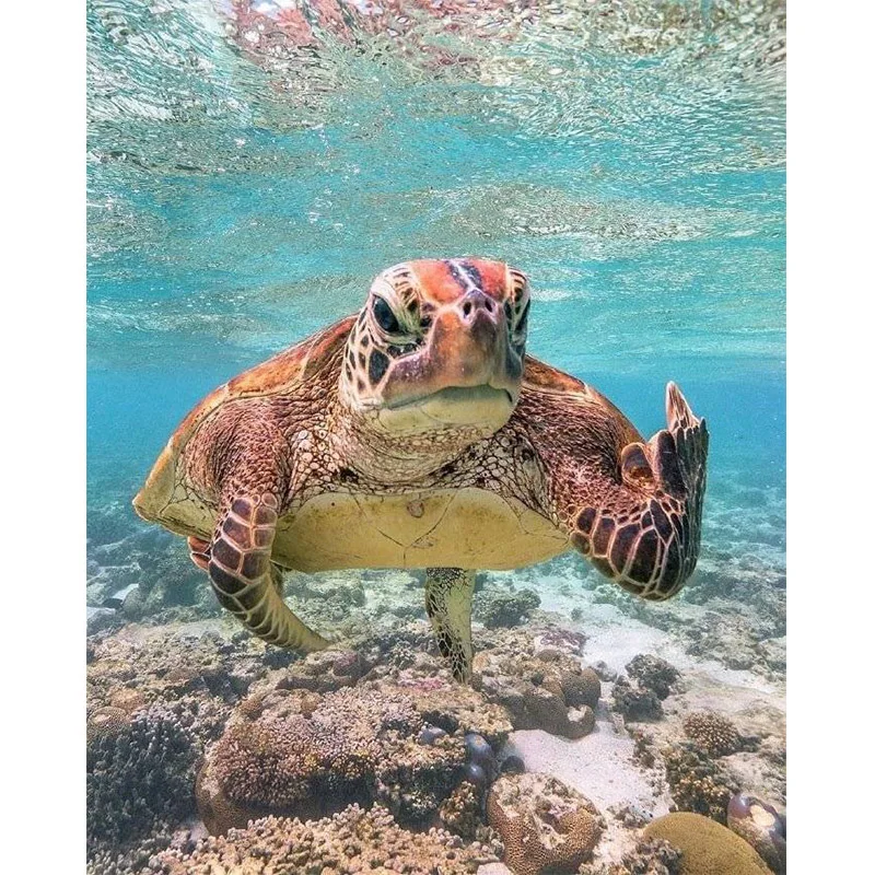 

Diamond Painting 5D Diamonds DIY Landscape Cross Stitch Full Square Drill Embroidery Colorful Handmade Home Room Wall Decor