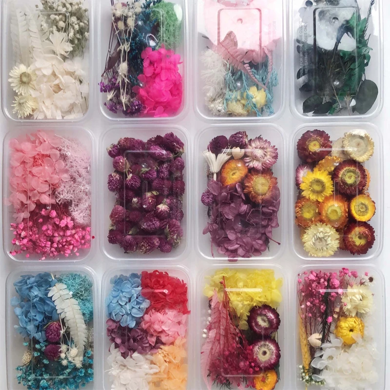 

1Box Natural Real Dried Flower Dry Plants For Aromatherapy Candle Epoxy Resin Necklace Jewelry Making Craft DIY Accessories