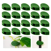 102050pcs plant fixture clip plant climbing wall self adhesive fastener tied fixture vine buckle hook plant wall climbing