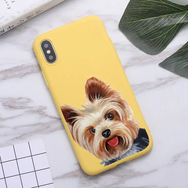 

French Bulldog Pug Dog Cute pet animal luxury Phone Case Candy Color for iPhone6 7 8 11 12 s mini pro X XS XR MAX Plus