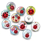 Красота Милая Божья коровка пчела 10 шт. смешанные 18 мм20 мм стеклянные кабошоны и кнопки 
