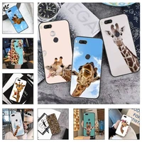 animal giraffe phone case for xiaomi mi redmi note 8t 9t 9s 9a 10 7 8 9 lite pro