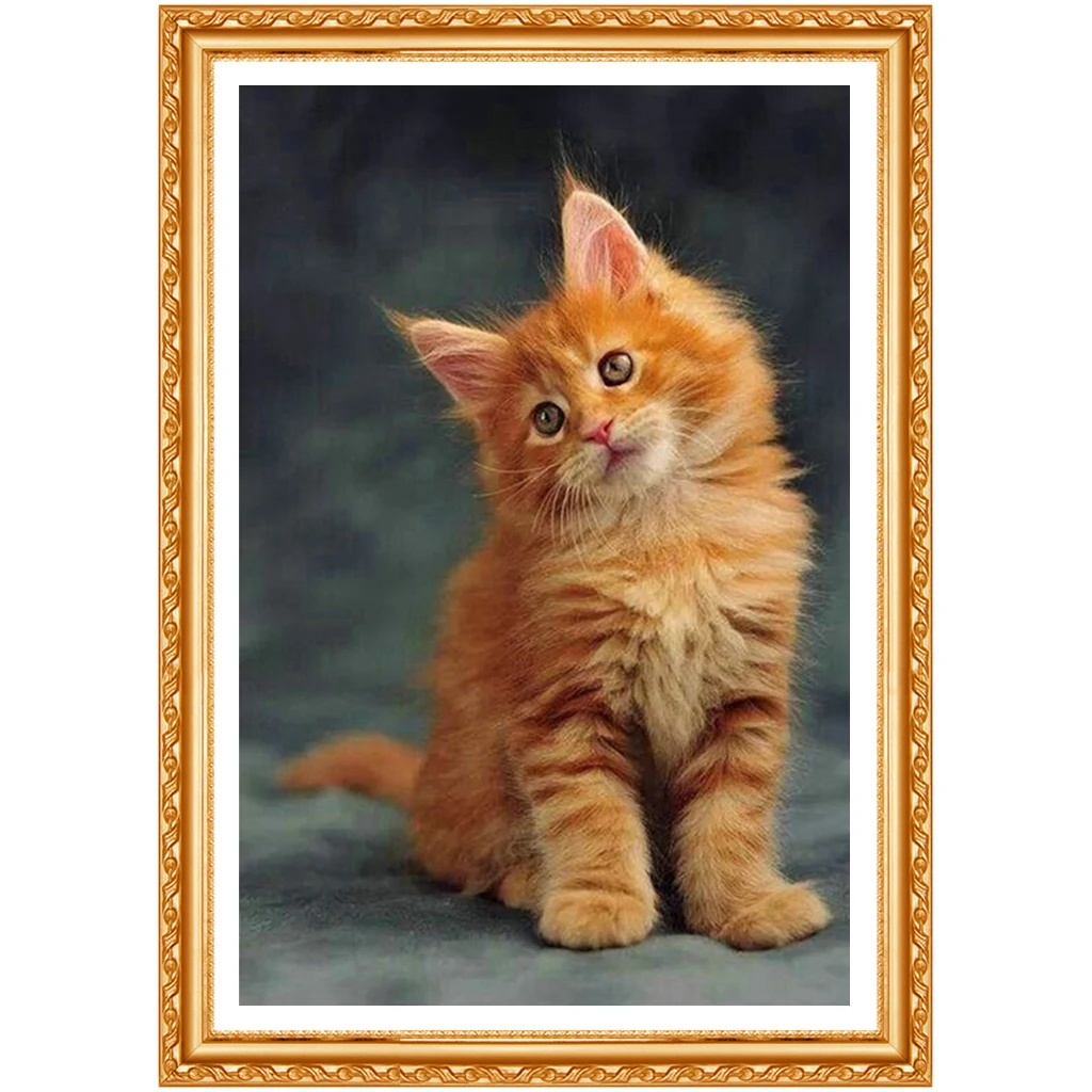 Сделай Сам желтый кот 5D алмазная картина вышивка крестиком вышитая квадратный