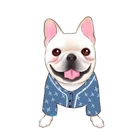 Джинсовая рубашка для чихуахуа, одежда для домашних собак, одежда для маленьких собак, куртка для французского бульдога, костюм для Йорка, одежда для мопса, PC0631