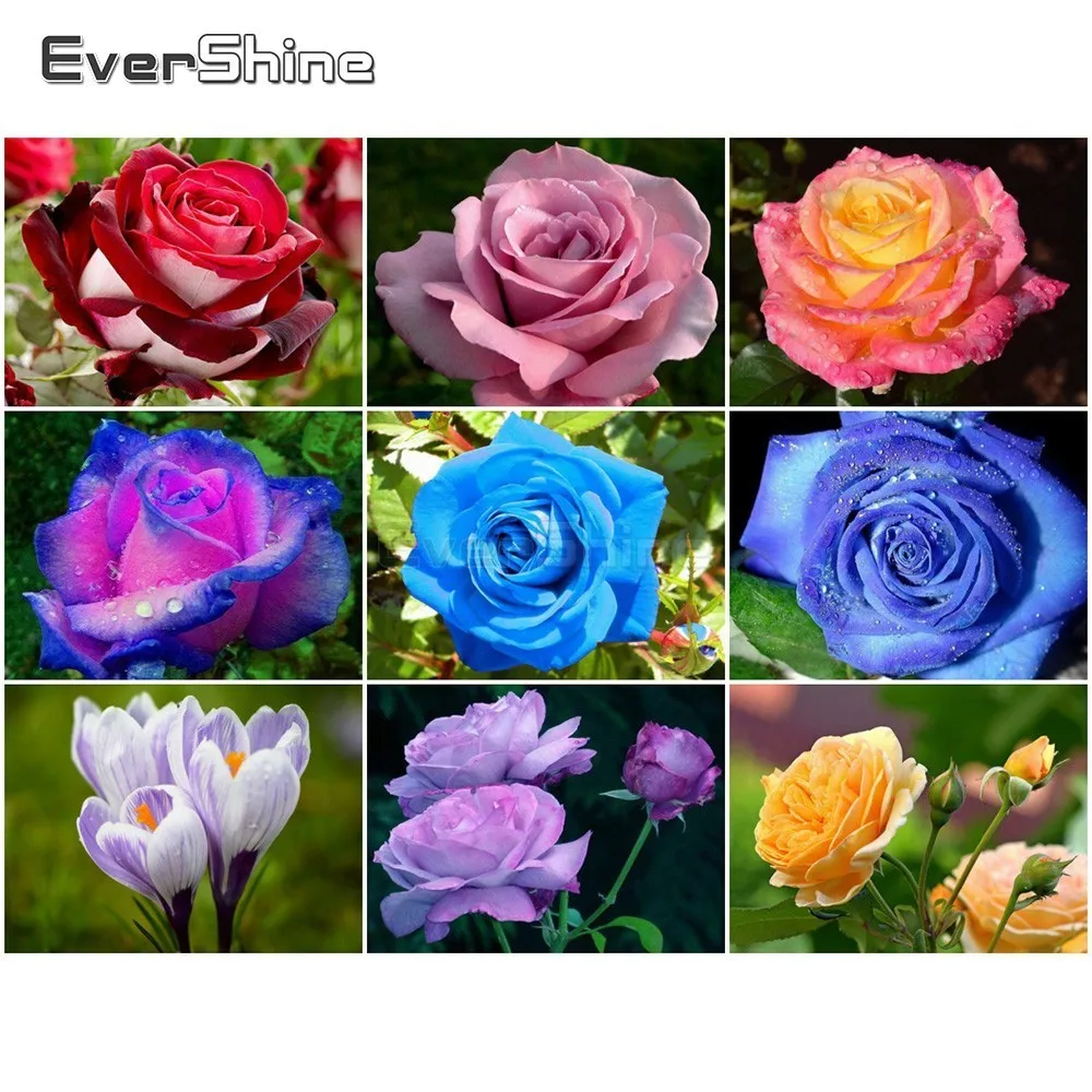 EverShine мозаика алмазная розы 5D вышивка картины стразами полная выкладка крестом