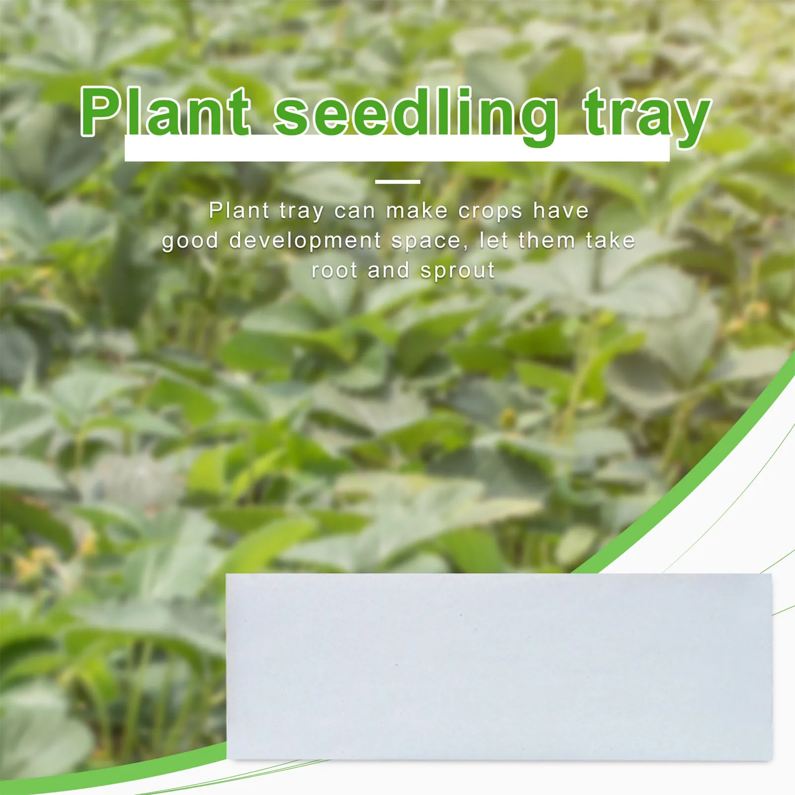 

100 Pcs/set Bean Sprouts Nursery Paper Vegetable Fruit Seedlings Flower Paper Moisturizing Paper Greenhouse Plant Planting Paper