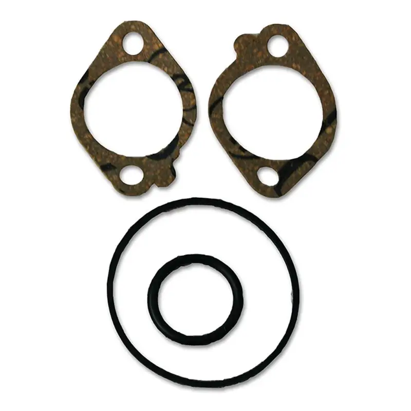 

Briggs & Stratton 498260 Carburetor Overhaul Kit For 3.5 and 4HP Max Series