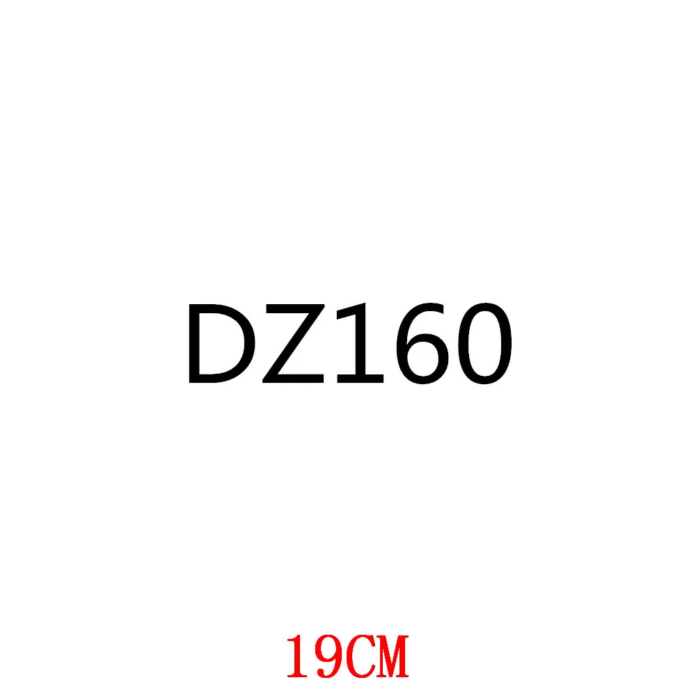 

DZ160-19