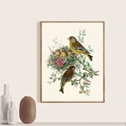 Растительный постер с птицами, зеленые Птицы, античная иллюстрация, печать гнезда, Естественная история, Настенный декор, ретро постер, крафт-бумага