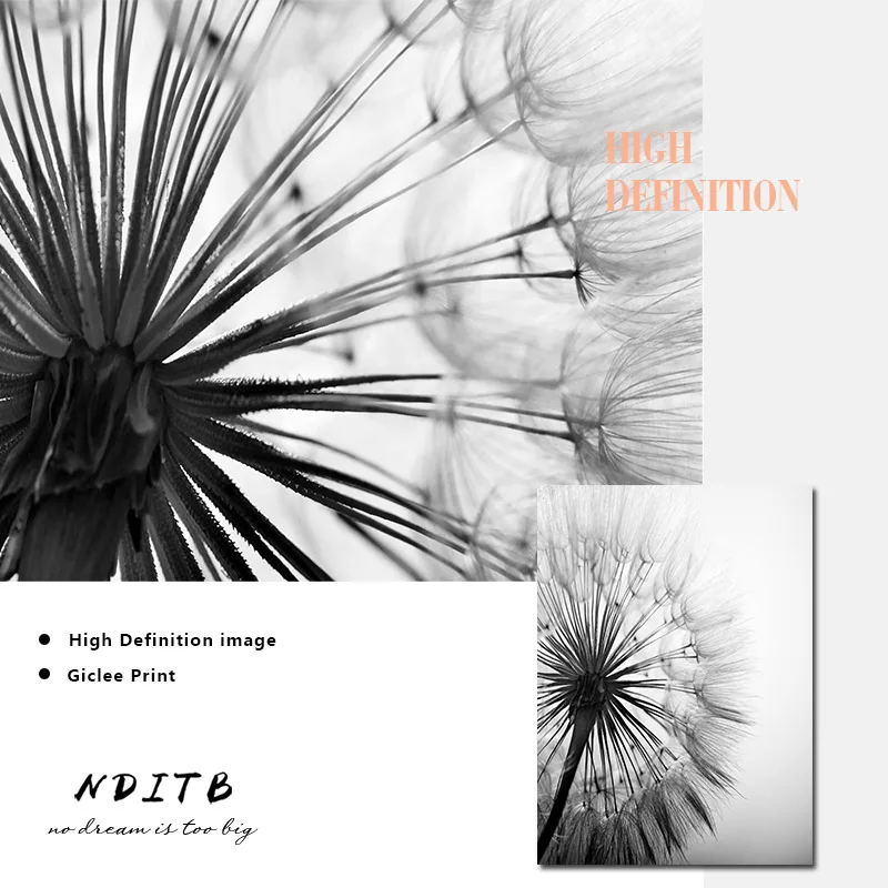 Плакат на холсте с изображением черно-белых цветов одуванчиков природы растений
