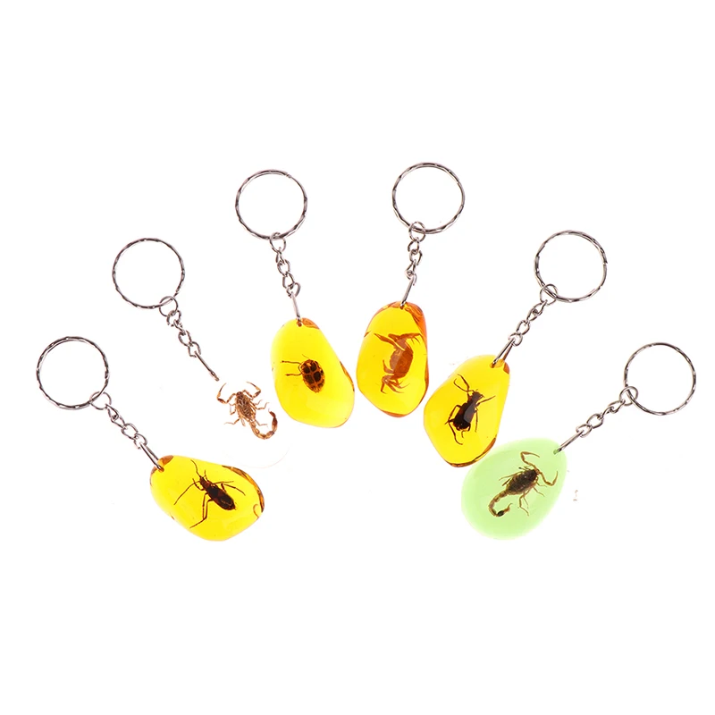 1 шт. очарование натуральный янтарь + цепочка для ключей смола насекомых