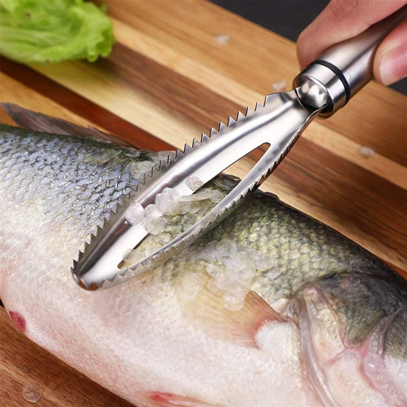 

Fish Scales Graters Scraper Fish Cleaning Tool 304 Stainless Steel Fish Scaler Brush Home Kitchen Cooking Fishing Tool