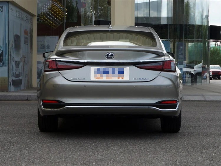Спойлер для Lexus ES260 ES300 ES200 2018-2019 спойлер высокого качества ABS Материал заднее крыло