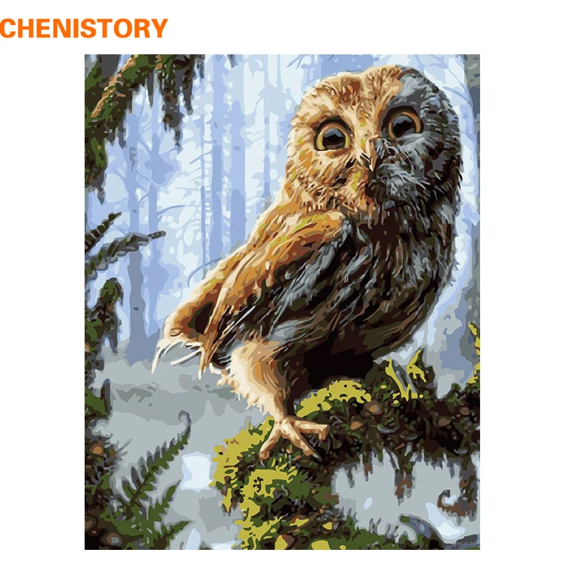 

CHENISTORY Frame DIY Painting By Numbers Owl Animals Acrylic Paint On Canvas Wall Art Picture Handpainted Oil Painting For Home