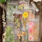 Наклейки декоративные для скрапбукинга, 6 шт., канцелярские принадлежности для альбома, наклейка с изображением растений