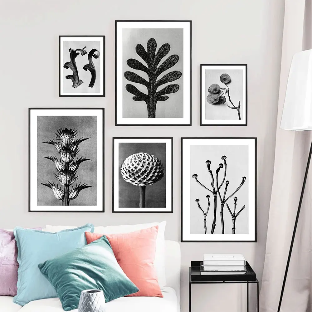 

Vintage Botanical Posters Black White Photographic Art Prints Nordic Canvas Painting Modern Wall Pictures Living Room Home Decor