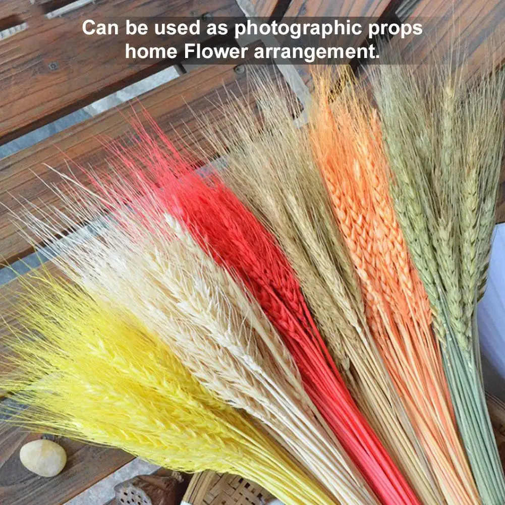 50 шт./лот засушенный натуральный пшеничный карниз сухая трава украшение букетов