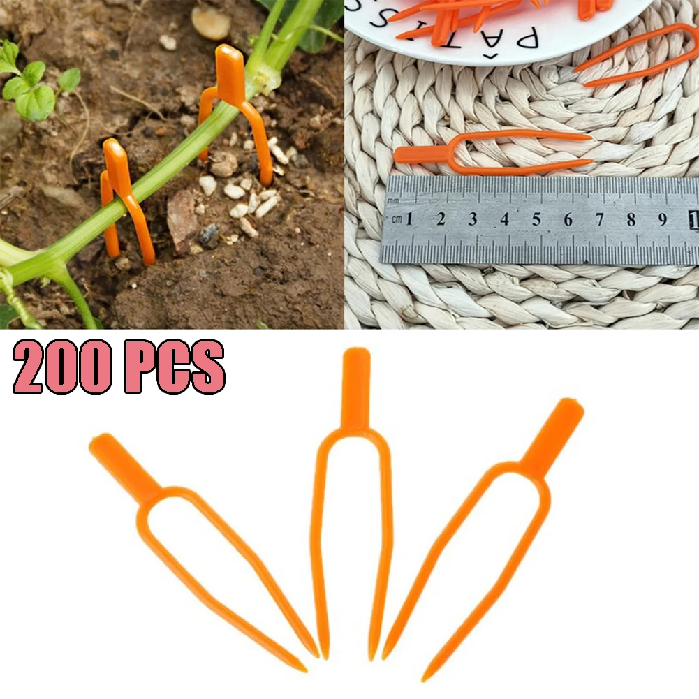 100 ПК/200 ПК помидоры в форме клубники вилка садовое растение Поддержка