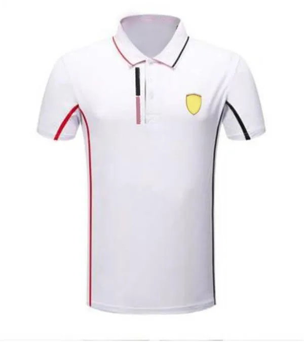 

F1 racing Polo shirt, men lapel T-shirt, polyester quick-dry top, the same style is customized