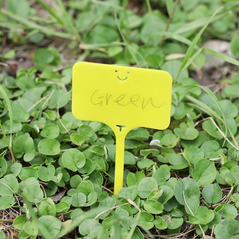 

100pcs T Shape Garden Labels Gardening Plant Classification Markers Sorting Seedling Tags Greenhouse Nursery Pots Writing Plate