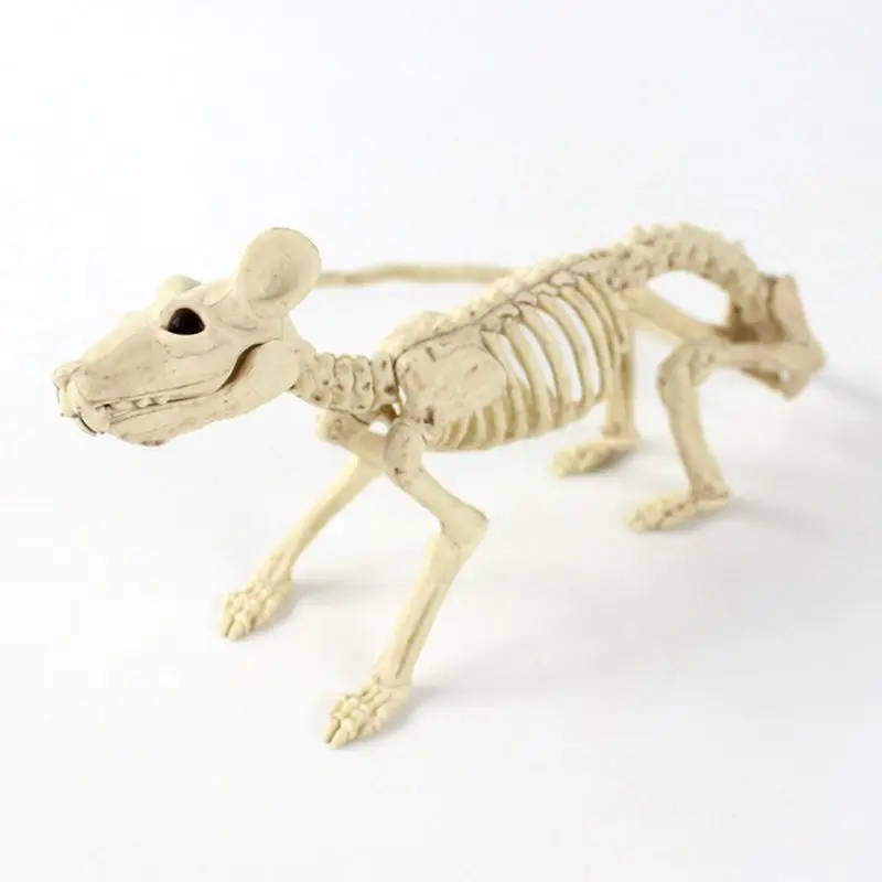 Украшение на Хэллоуин скелет жуткий паук мышь ящерица кости украшения | Дом и сад