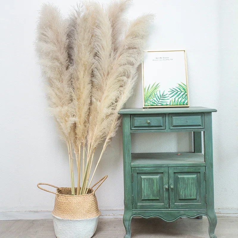 

Natural Big Reed Dried Flower Bouquet Furniture Decoration Wedding Props Dress Up