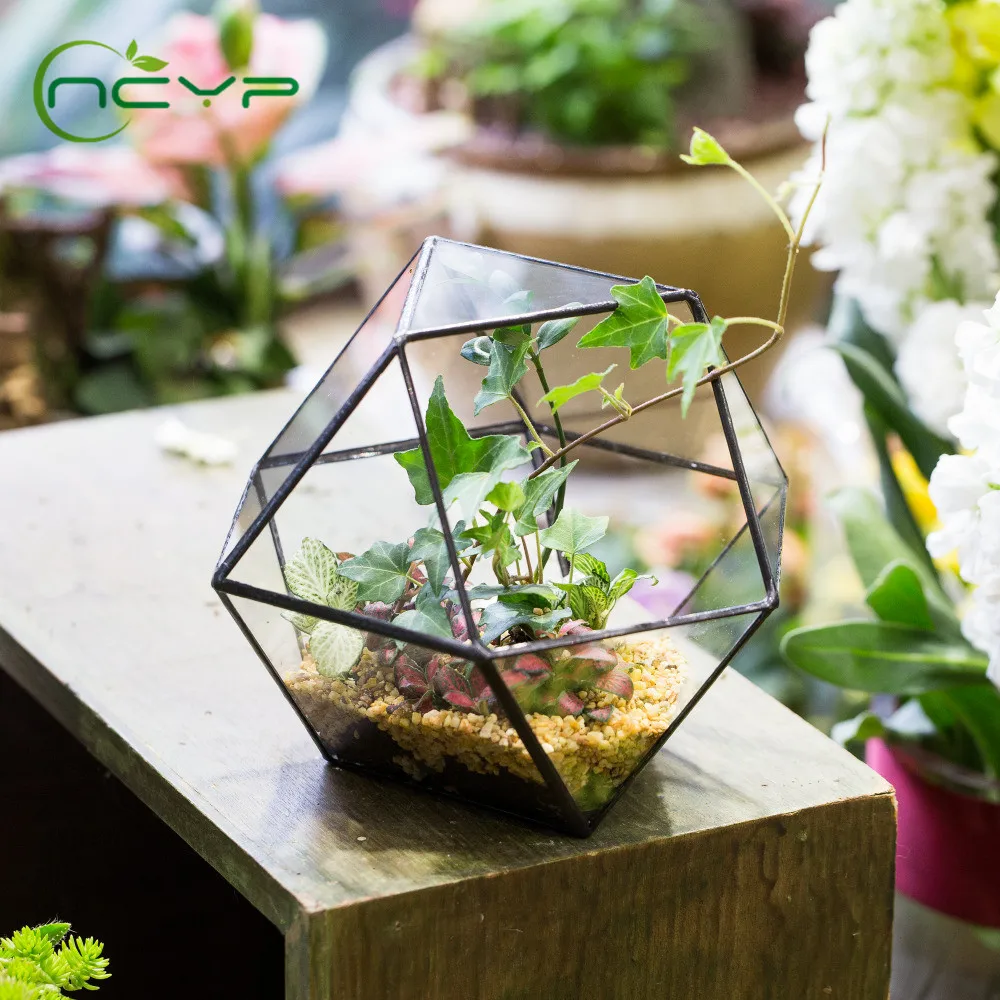 

NCYP Geometric Glass Flower Pot Pastoral Glass Terrarium Plants Succulent Flower Tabletop Decoration Container Flowerpot