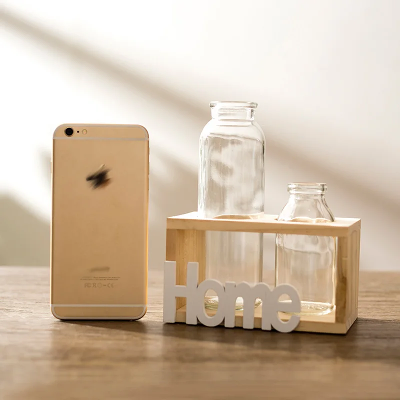 Скандинавский гидропонный ваза для украшения интерьера современный