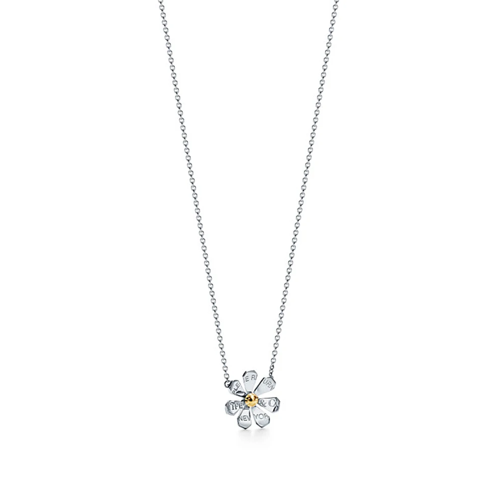 

Tiffany necklace