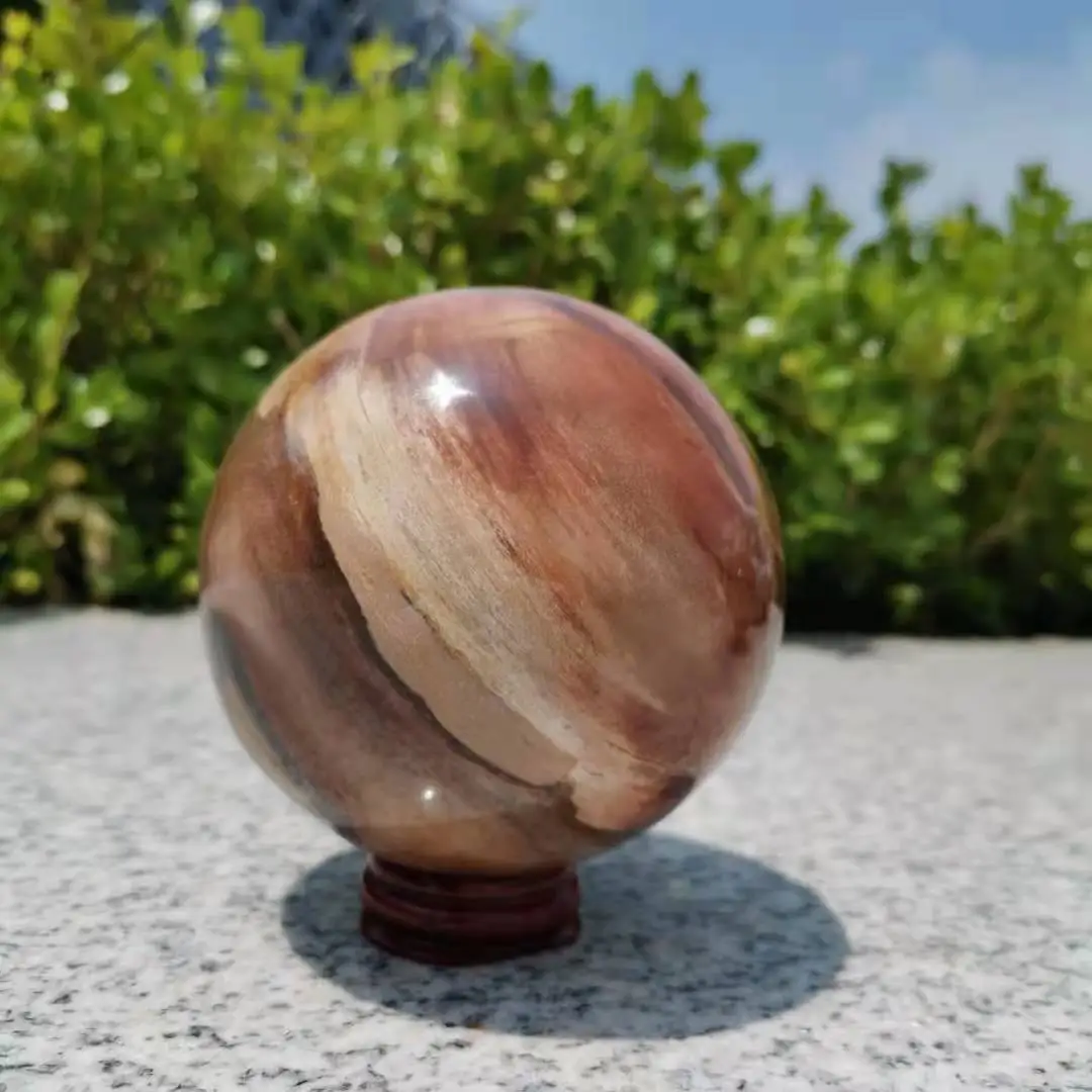 8~9 cm Madagascar Natural Polished Petrified Wood sphere Xylopal healing Ball images - 6