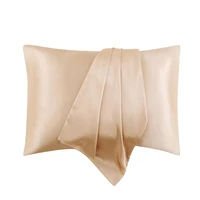 1pccolorful pure silk pillowcase real silk pillowcase natural silk pillowcase mulberry silk pillow case silk pillowcase dropship