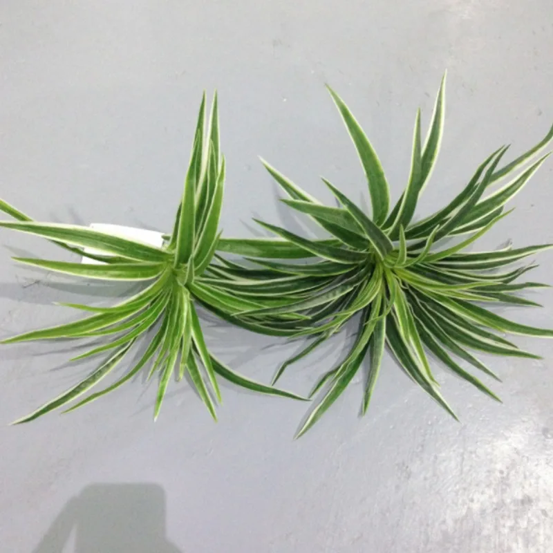 Искусственные пластмассовые растения хлорофитум филиал Дома Декоративные