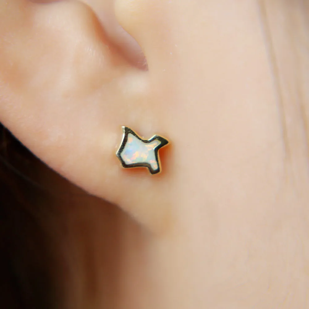 Серьги-гвоздики в виде карты Техаса серебро 100% пробы | Украшения и аксессуары