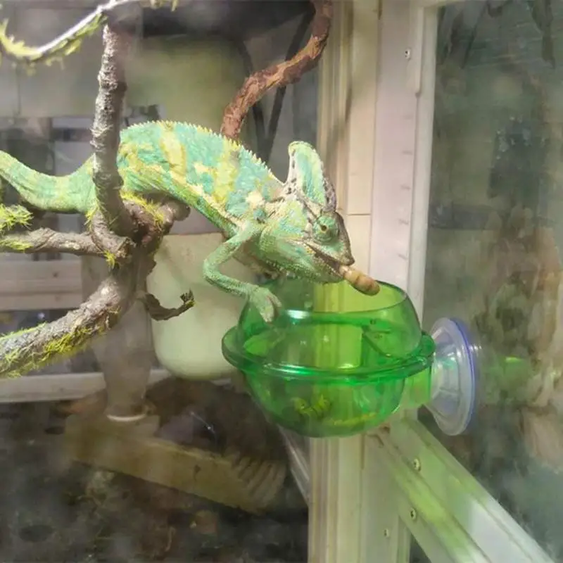 

Chameleon reptile feeder feeding container lizard feeder can be connected with cold-blooded animal feeder Amphibian animal