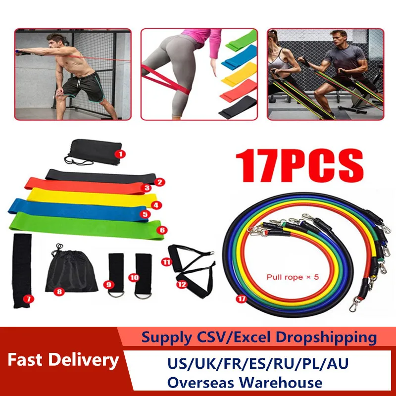 

17 Pcs/Set Latex Resistance Bands Crossfit Training Exercise Yoga Tubes Pull Rope,Rubber Expander Elastic Bands Fitness with Bag