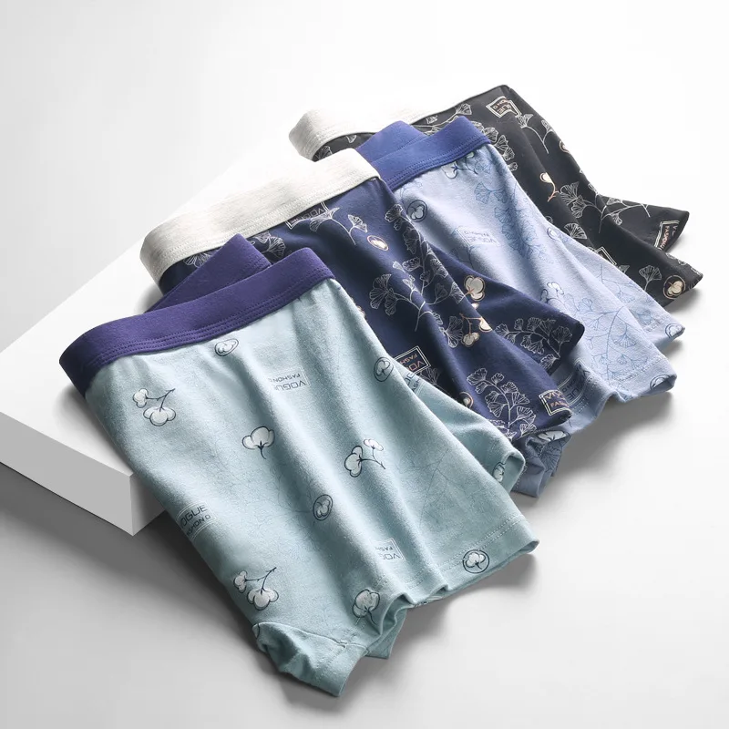 4pcs Boxer Shorts Underpants man Men's Panties Men Boxer Underwear Cotton For Male Couple Sexy Set Large Size Lot Soft