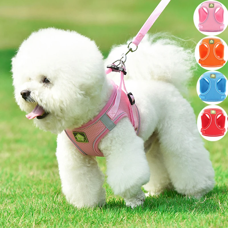 Сетчатый цветной ошейник для собак и кошек на лето Синий Регулируемый