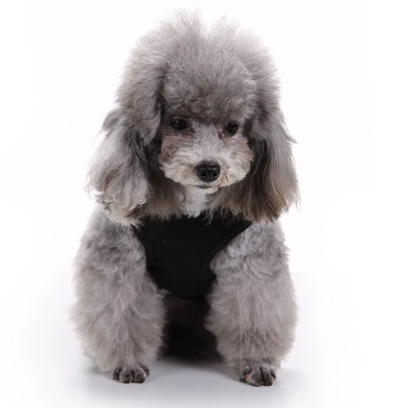 Весна и лето новый стиль собака Хэллоуин тыква жилет Тедди для питомца Собаки