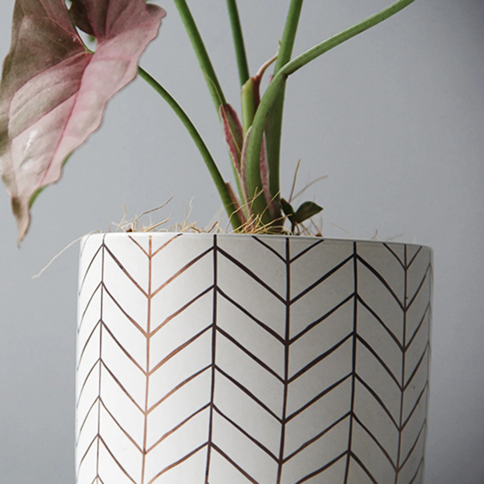 

Nordic Round Ceramic Flowerpot Indoor Desktop Succulent Planter Garden Decor