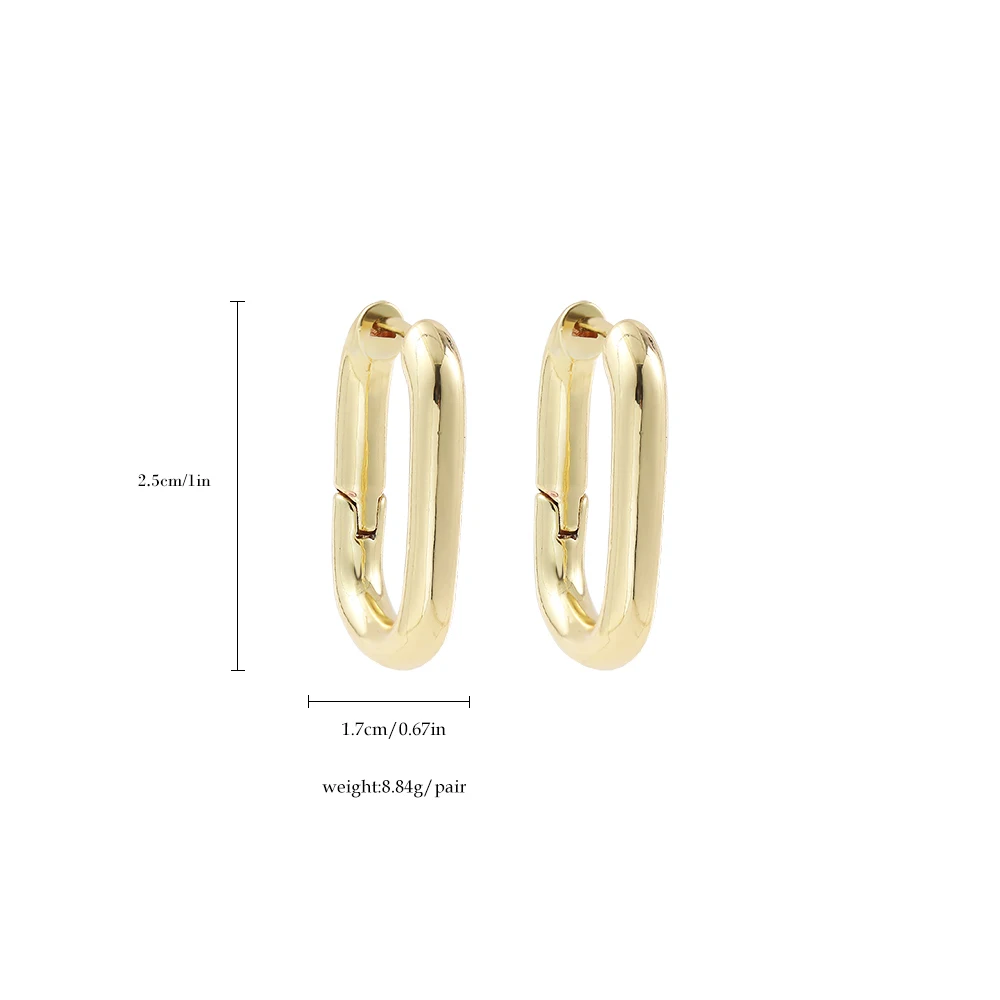 

Minimalist Thick Geometric Hoop Earrings for Women Fashion Punk Gold Chunky Circle Round Statement Earrings