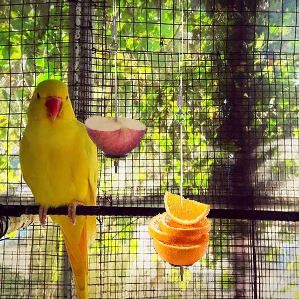 Попугаи фрукты вилка кормушка для птиц держатель еды маленькие животные