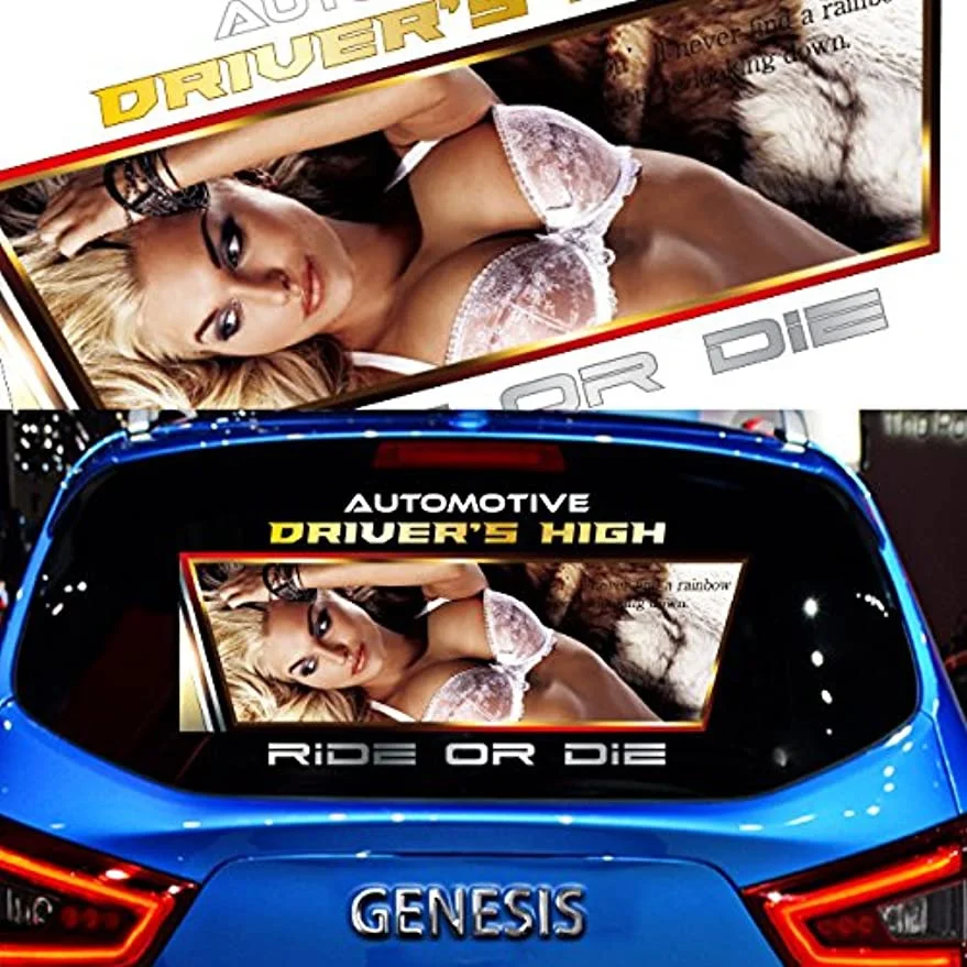 

2PC Universal Side Skirt Car Door Sticker Decal Automobiles Auto Accessories